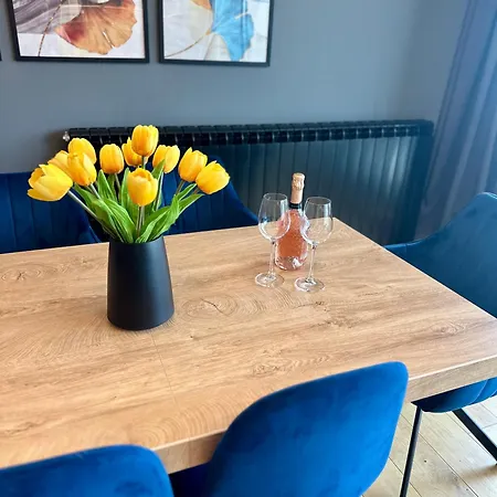 Apartament The Skyline *